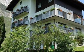 Pension Alpina Roppen